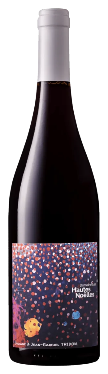 Pléroma