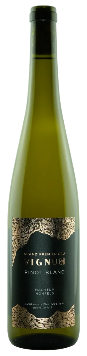 Pinot Blanc Machtum Hohfels