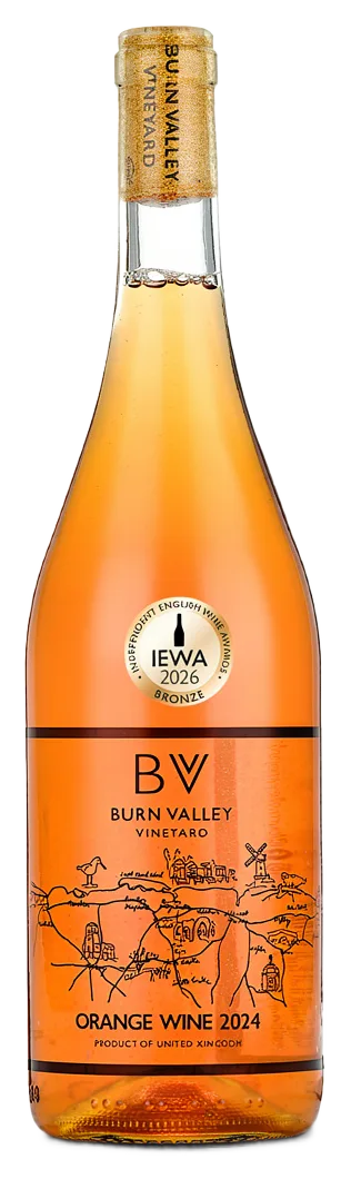 Orange Wine