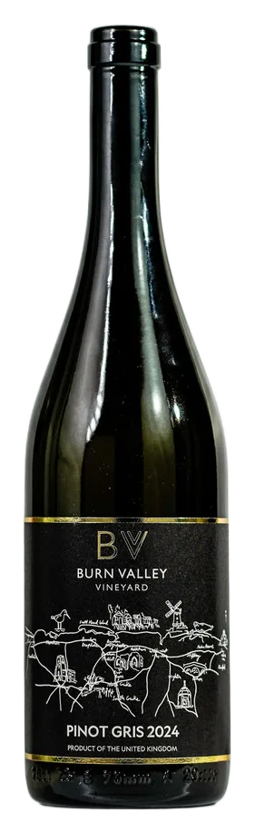 Pinot Gris 2024