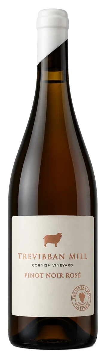 Pinot Noir Still Rosé
