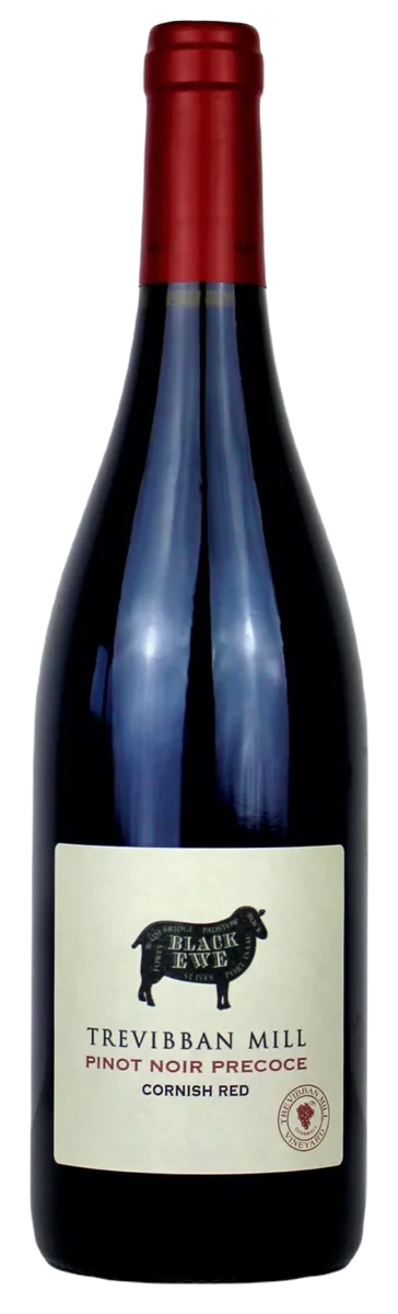 Black Ewe Pinot Noir Precoce 2019