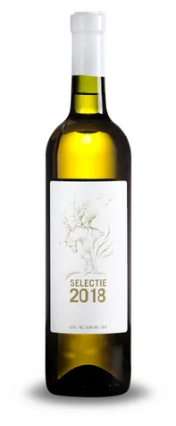 Selectie 2018