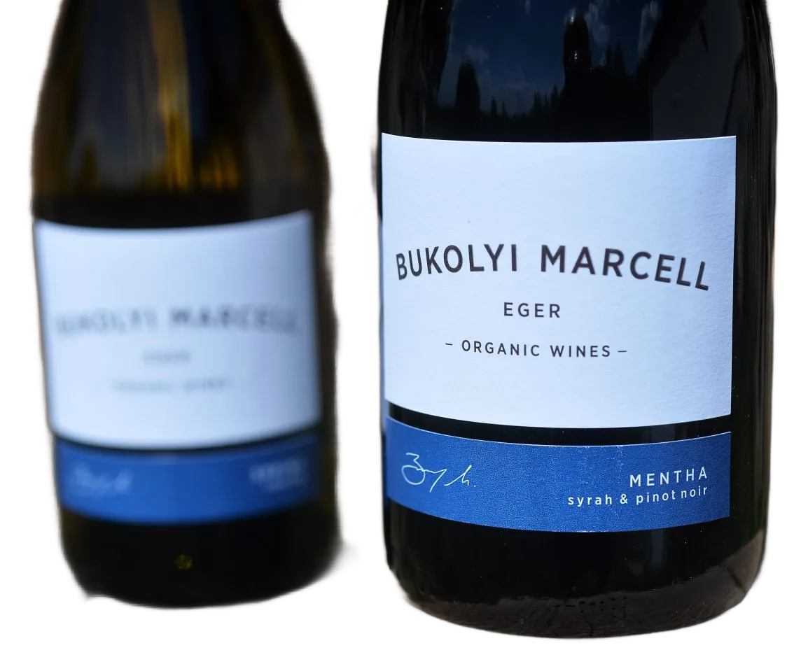 MENTHA Kékfrankos & Syrah 2022