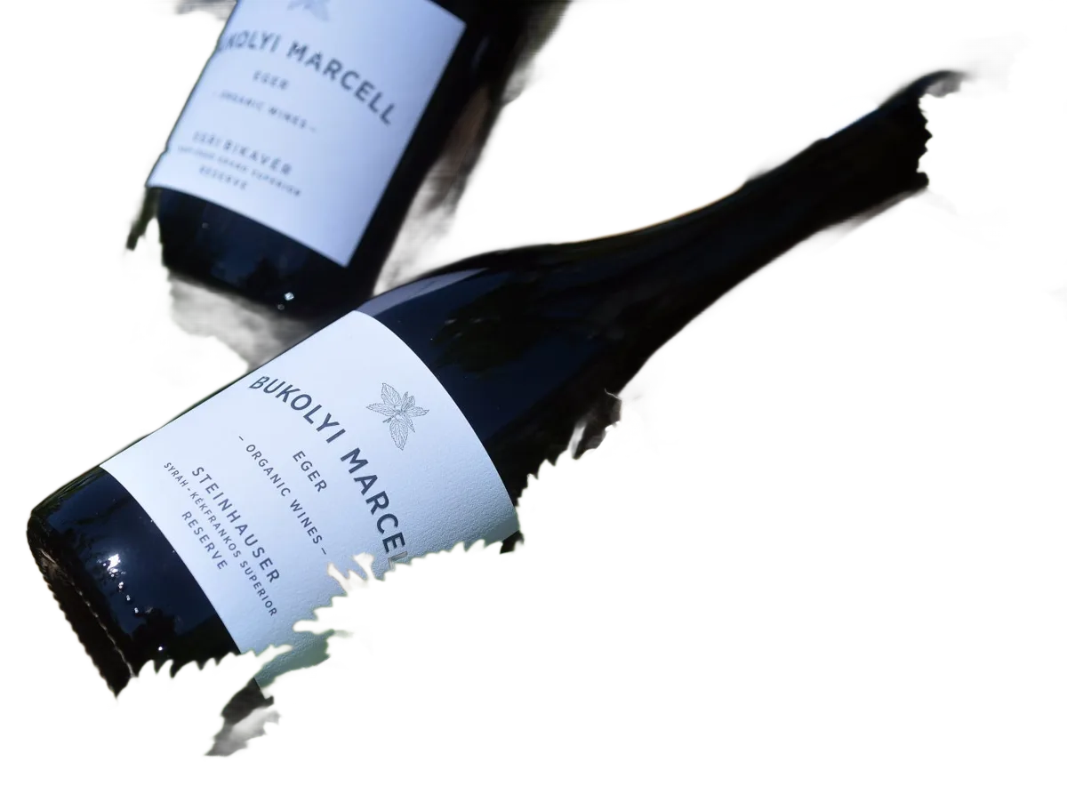 STEINHAUSER Kékfrankos & Syrah 2020