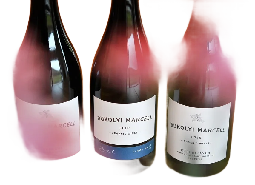 Pinot Noir JOY 2022