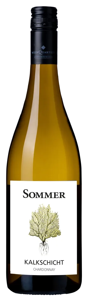 Chardonnay Kalkschicht
