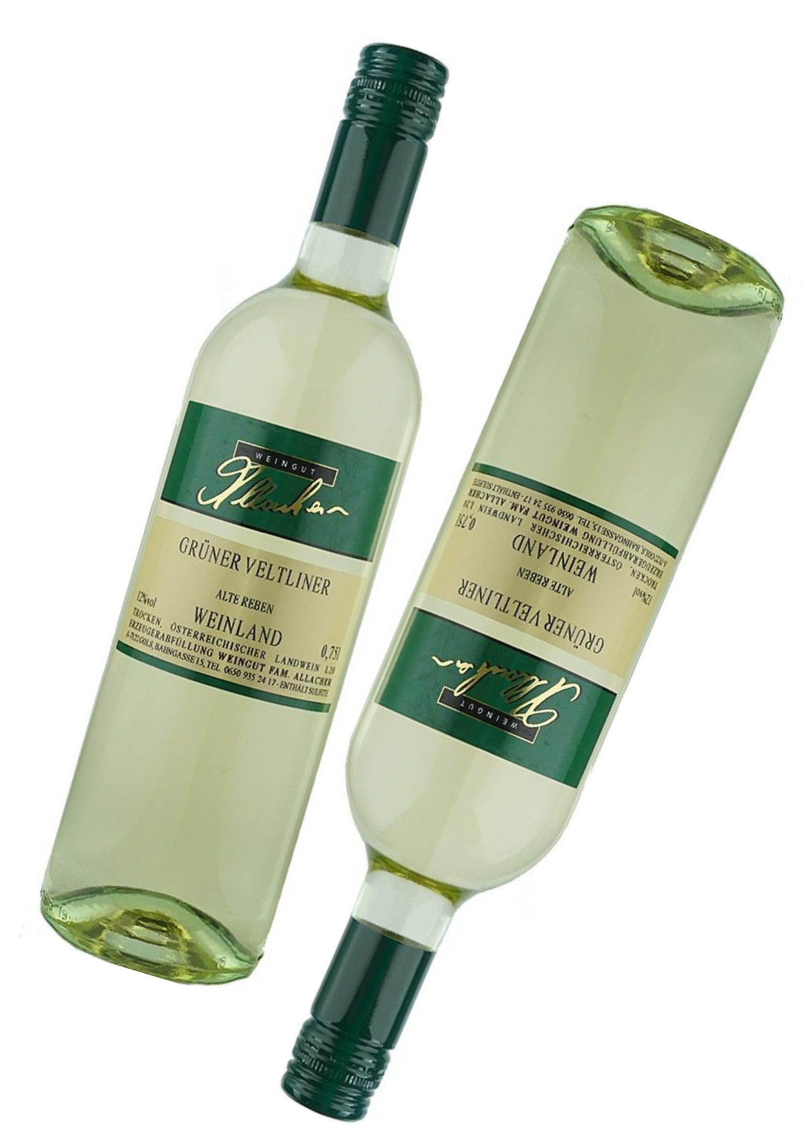 Grüner Veltliner 2025