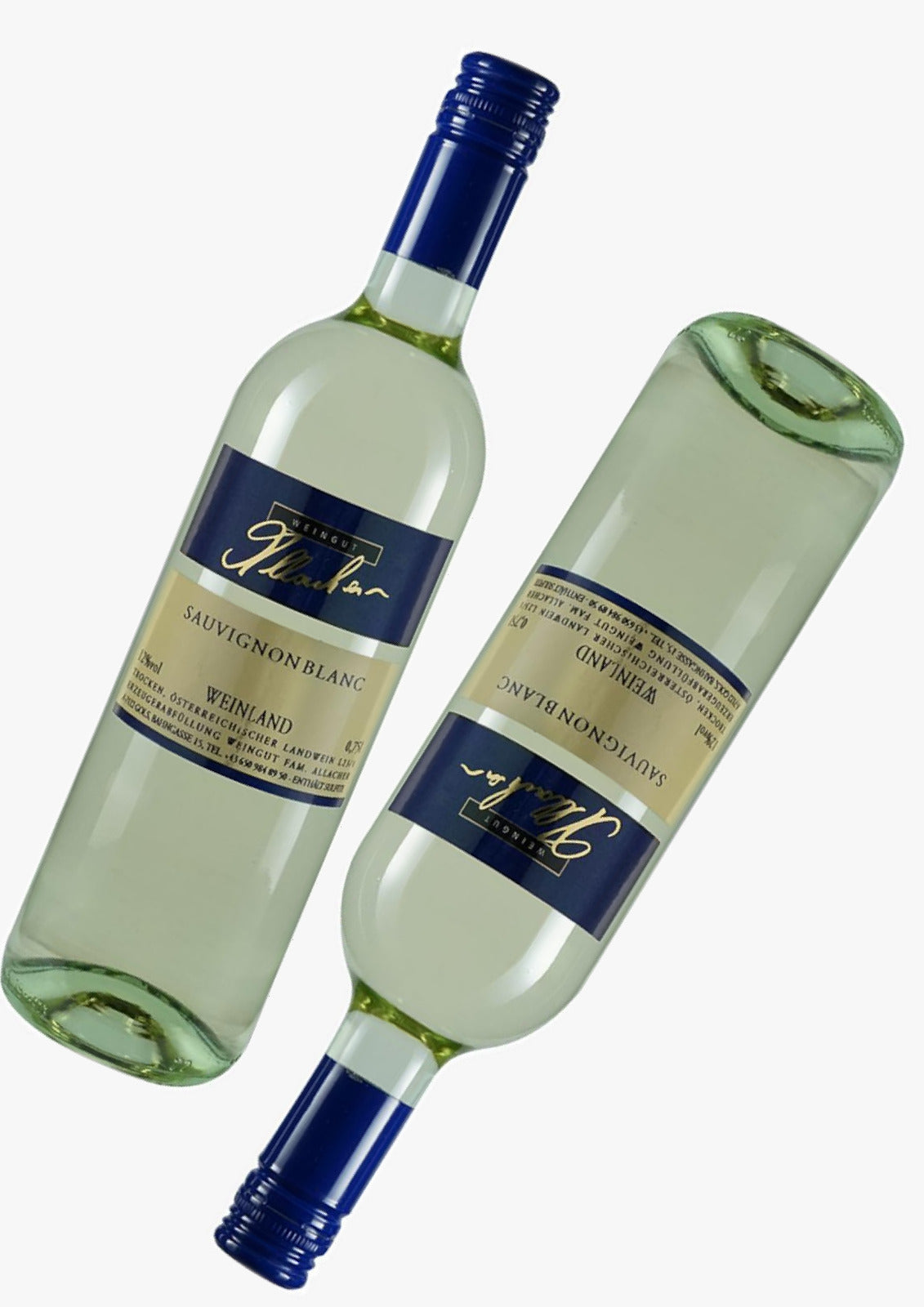 Sauvignon Blanc 2025 Magnum