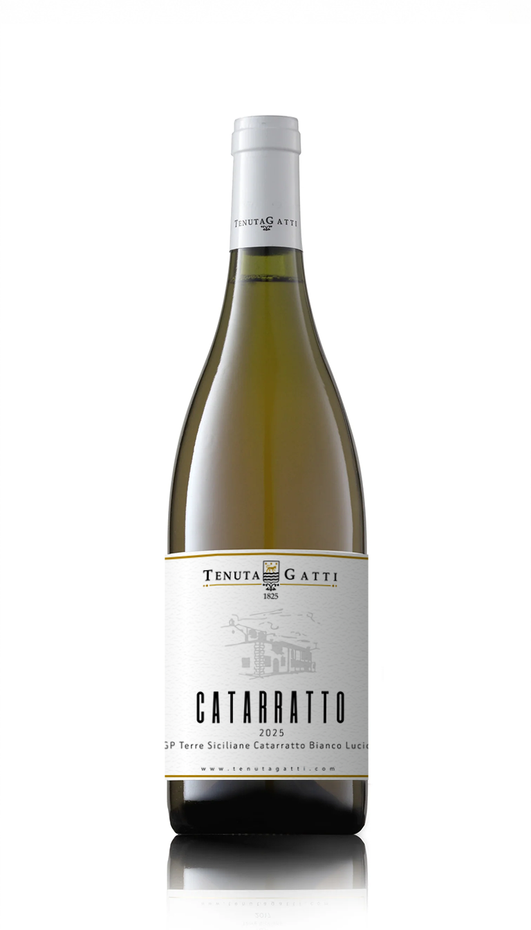 Catarratto