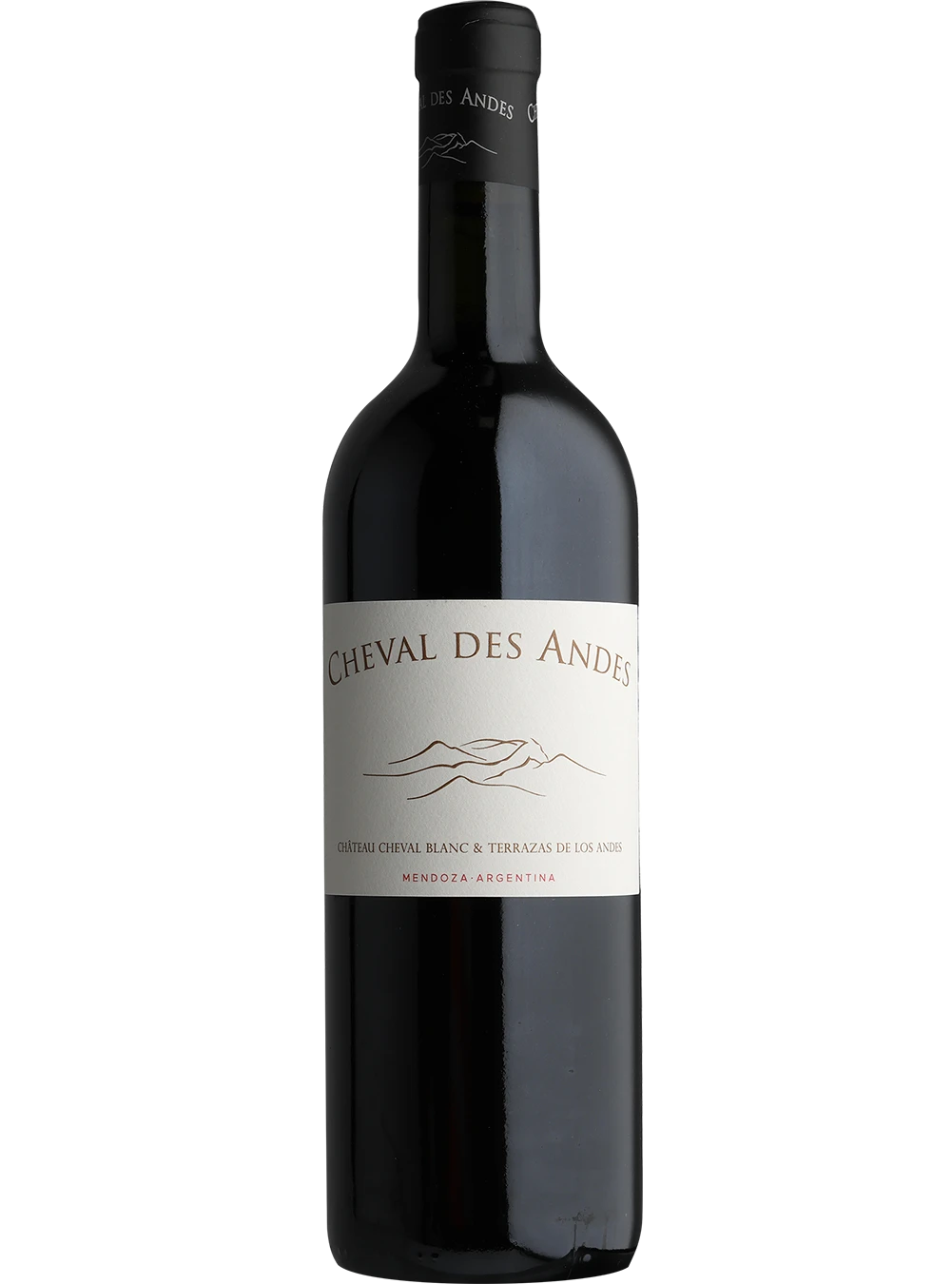 Cheval des Andes