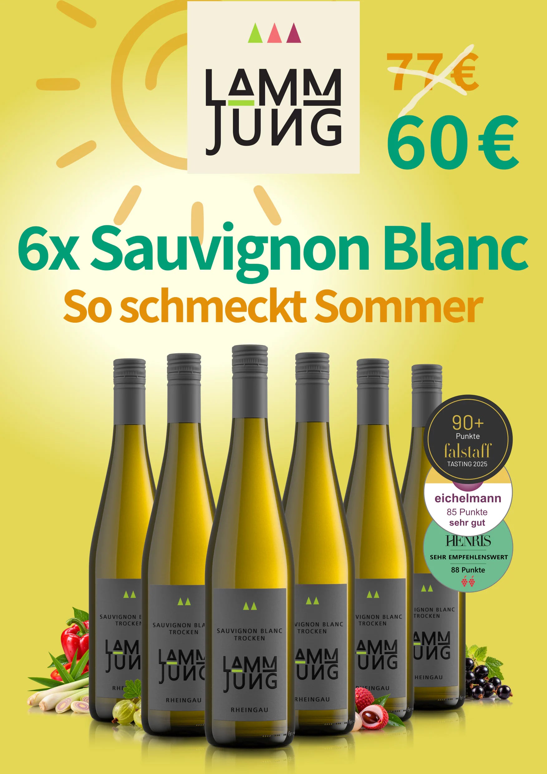 Sauvignon Blanc trocken 6er Sommerpaket Rheingau Meisterwein 2024