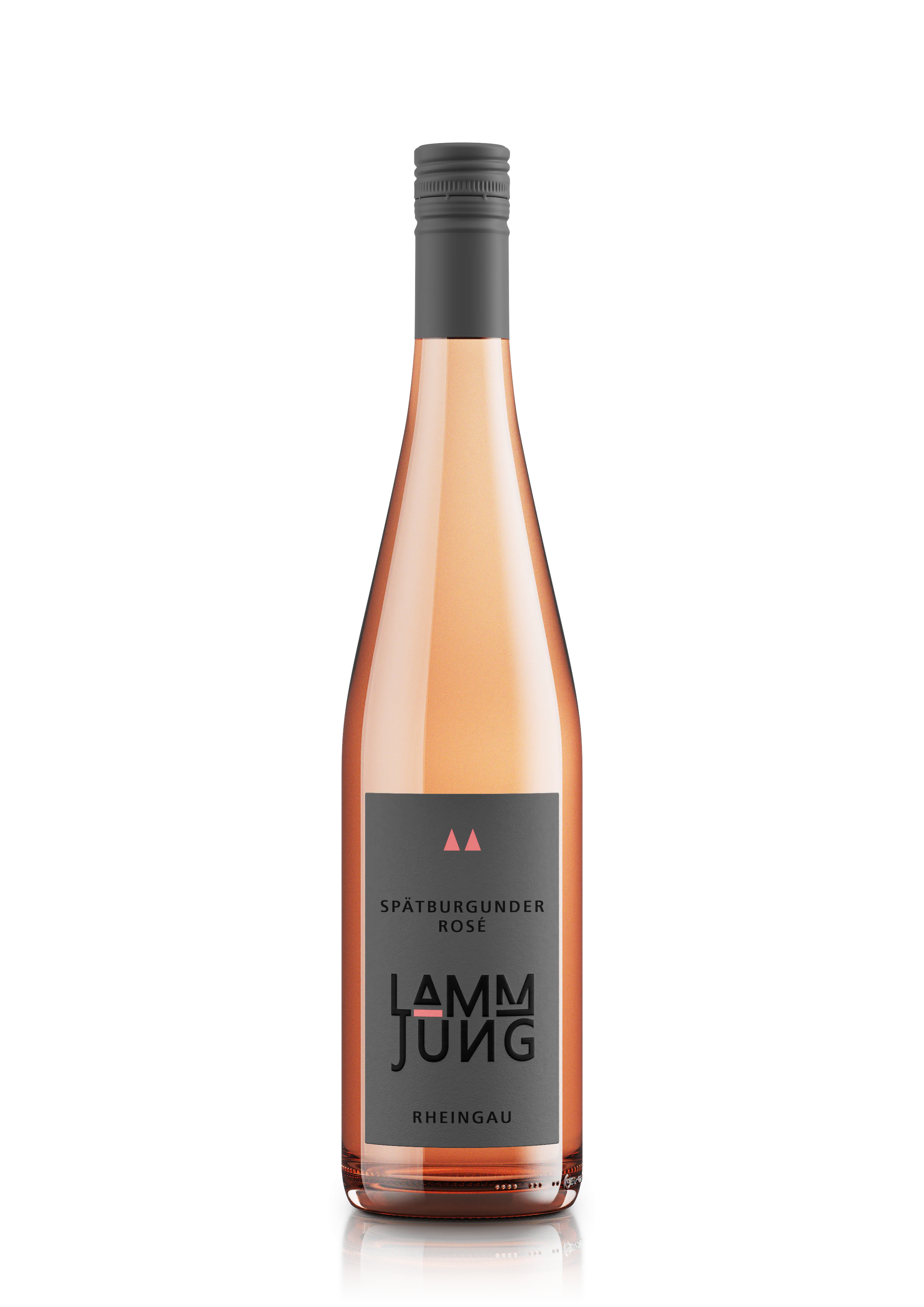 Spätburgunder Rosé feinherb Rheingau QbA Meisterwein 2025