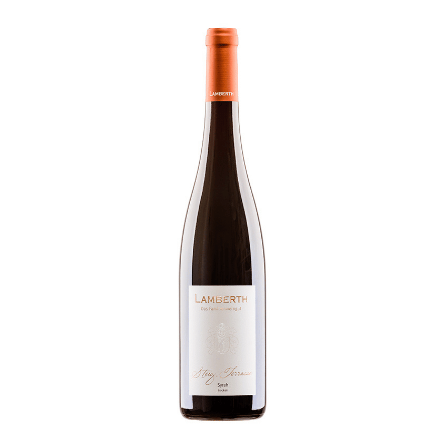 2020 STEIG-TERRASSEN Syrah trocken 1.5 L