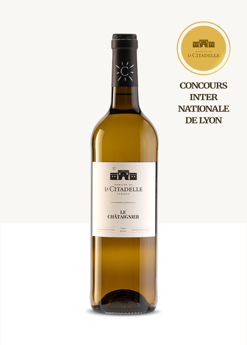 Châtaignier Blanc 2025