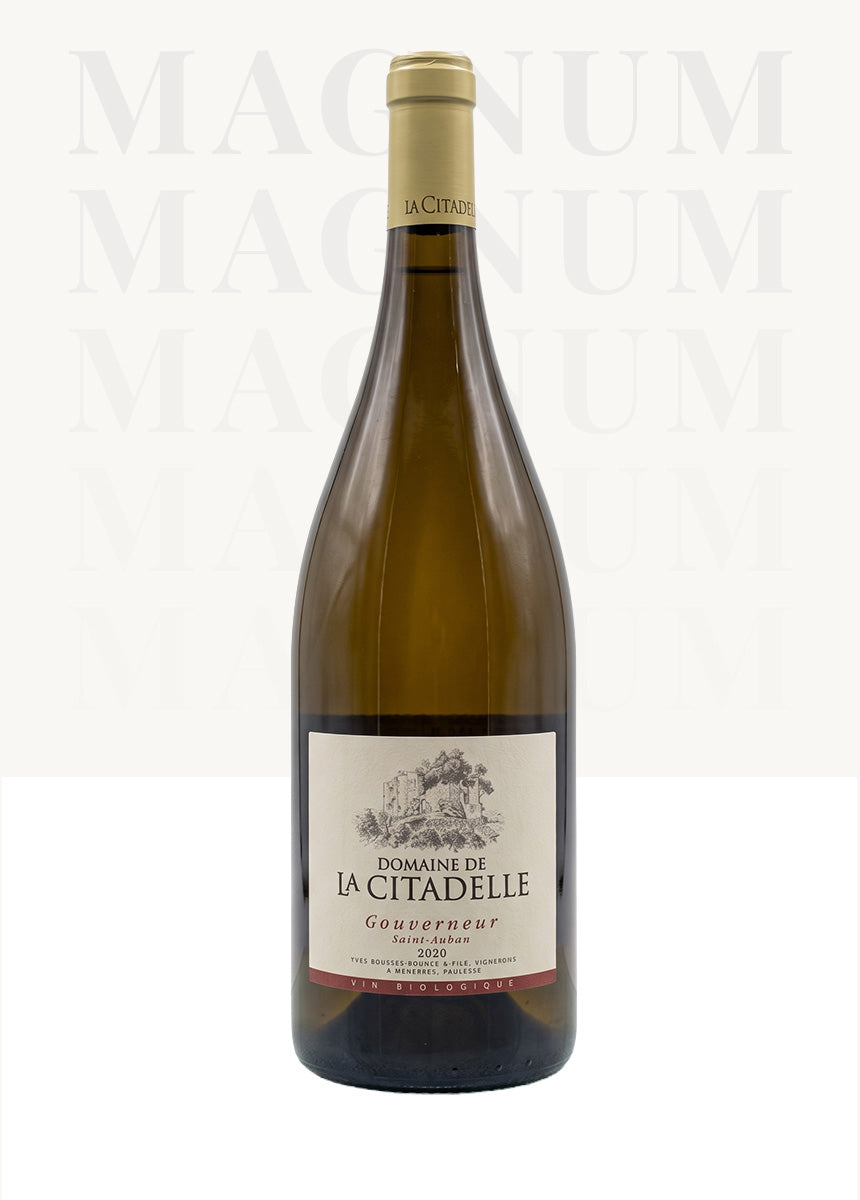Magnum Gouverneur Blanc 2020