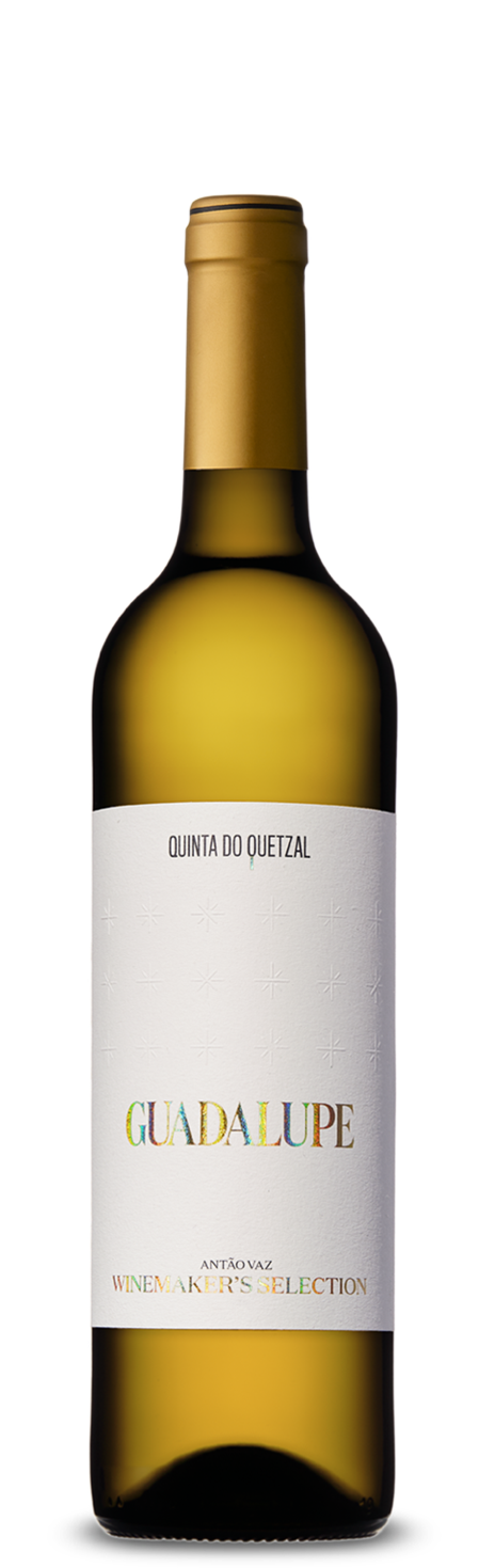 Guadalupe Winemaker's White 2022 750ml