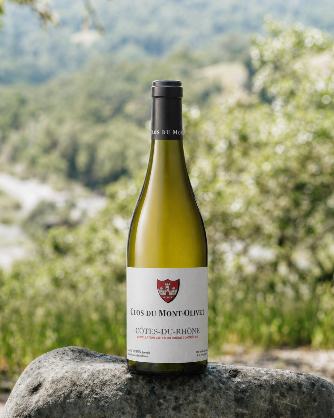 Côtes-du-Rhône - Blanc