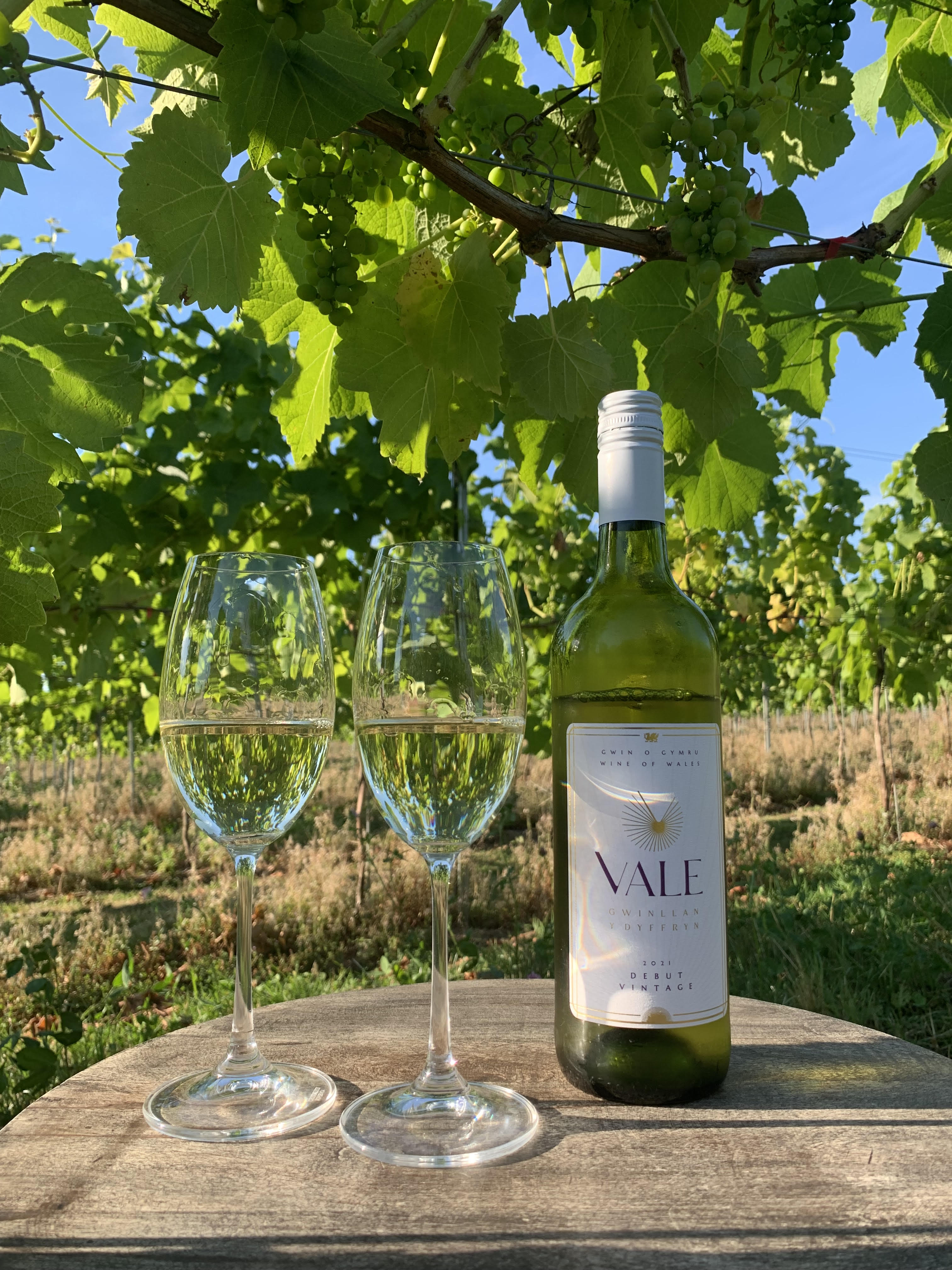 Solaris White Wine