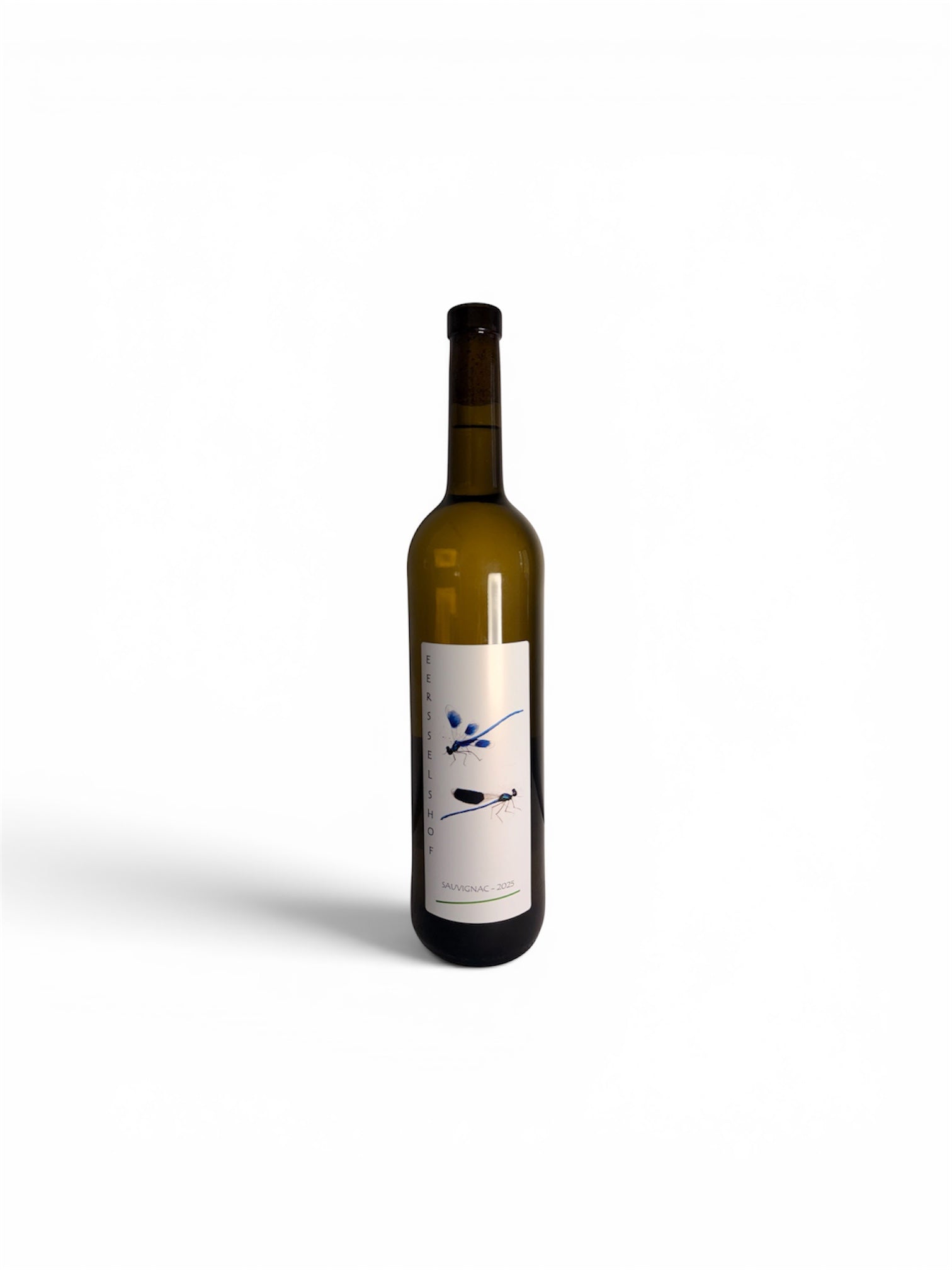 Sauvignac - 2025