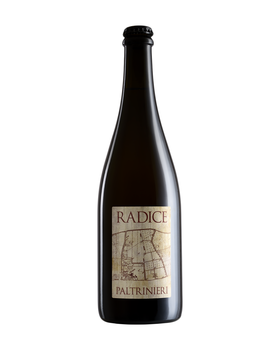 Radice