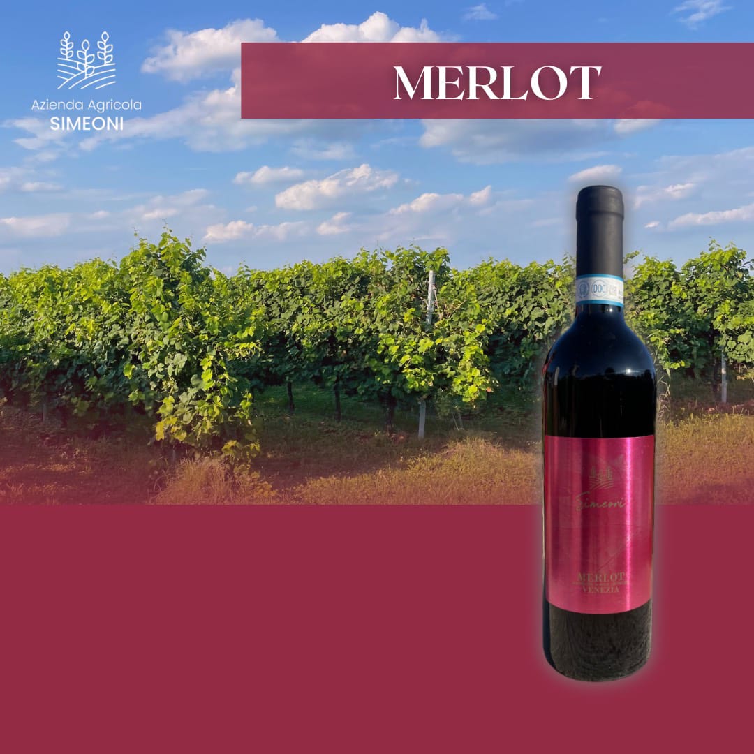 MERLOT D.O.C DELLE VENEZIE