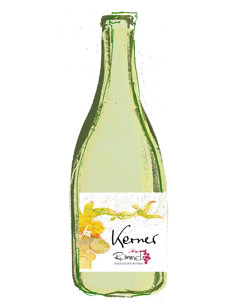 Kerner I Nußdorfer Weißwein