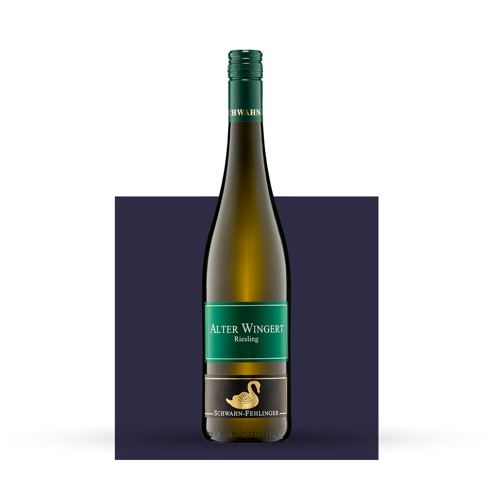 2023 Westhofener Steingrube ALTER WINGERT Riesling