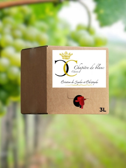 Cubi de Vin Blanc 100% Chenin 2025 - 3 litres