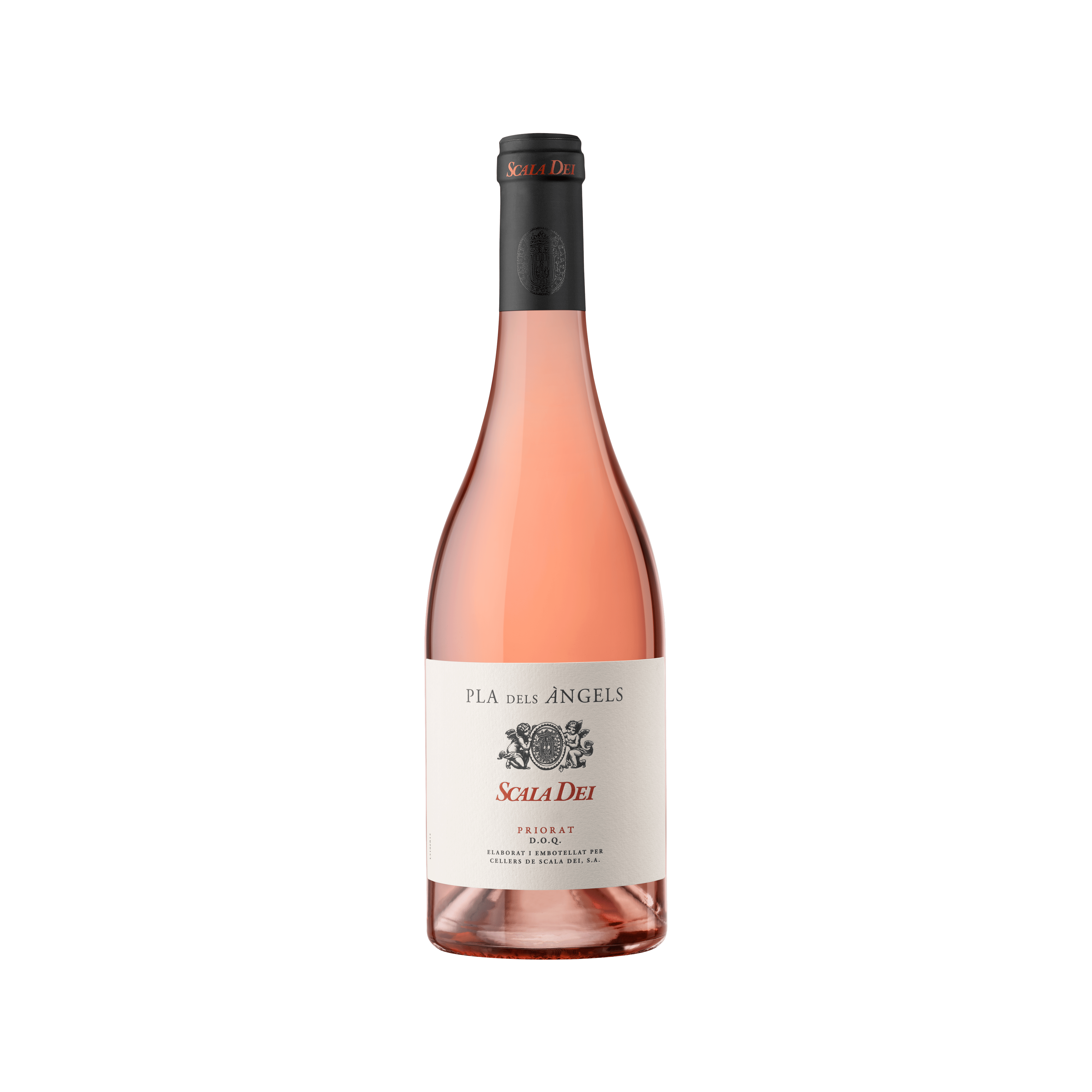 Scala Dei Pla dels Àngels 2025