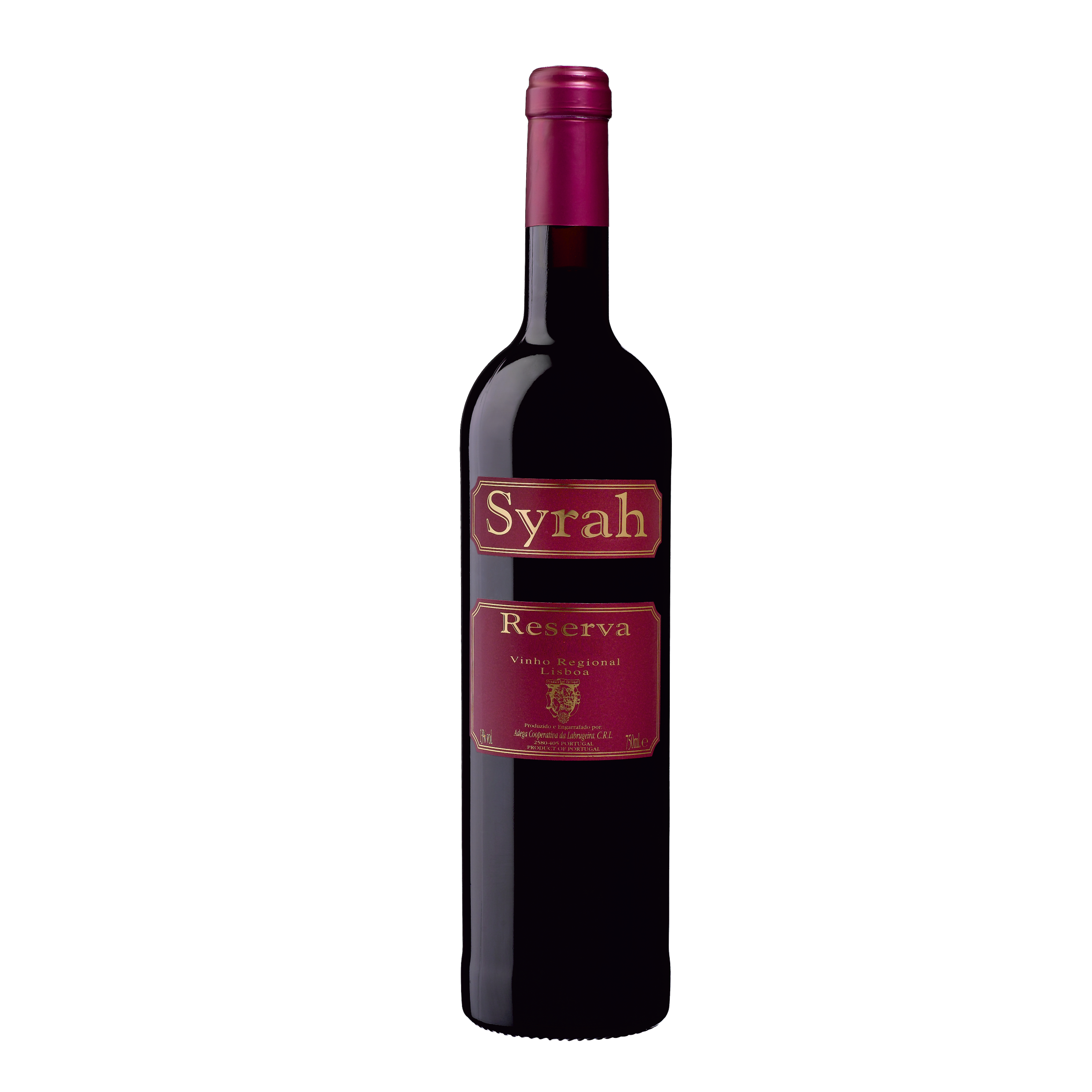Syrah Tinto
