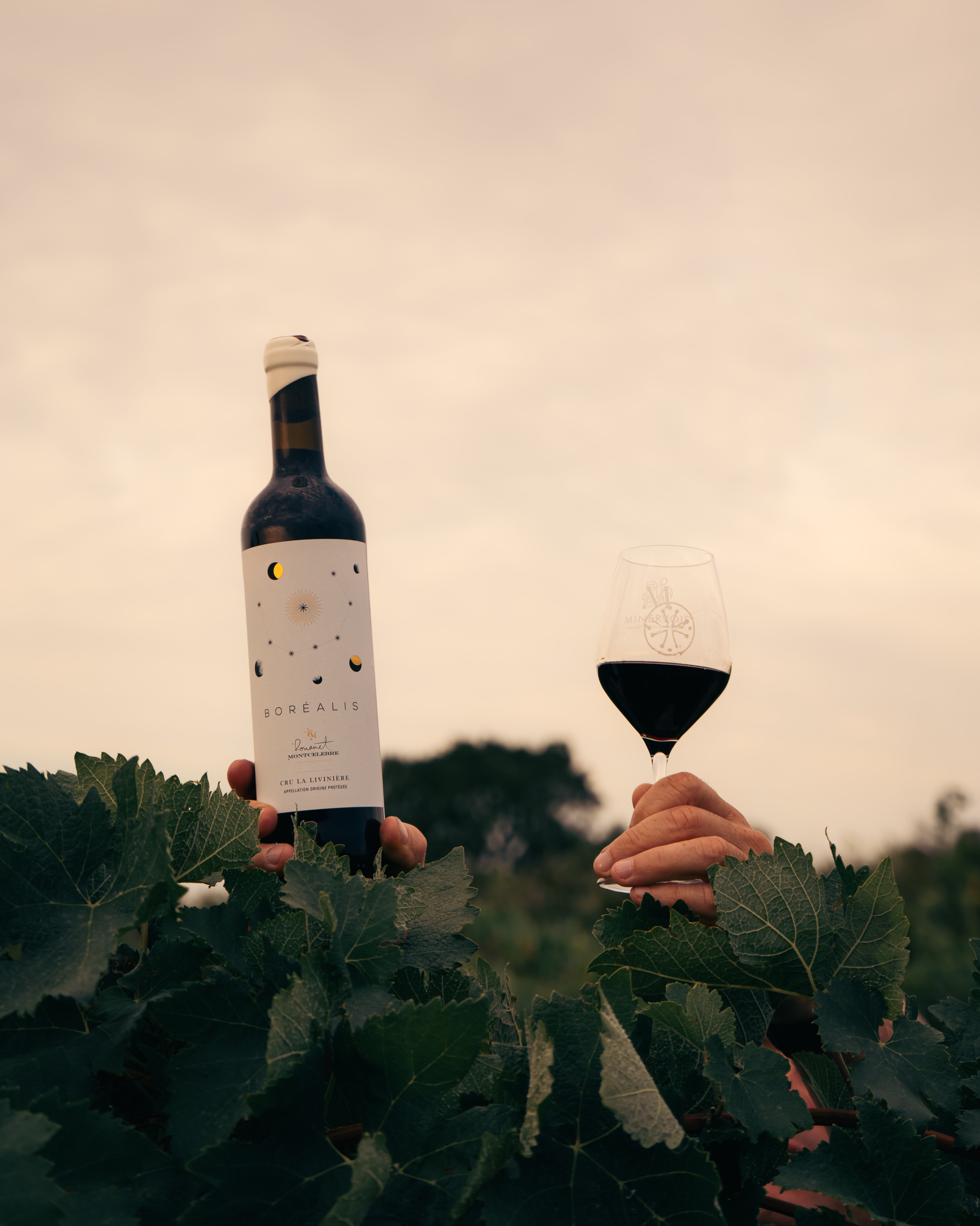 Boréalis 2019 - Rouge 75cl