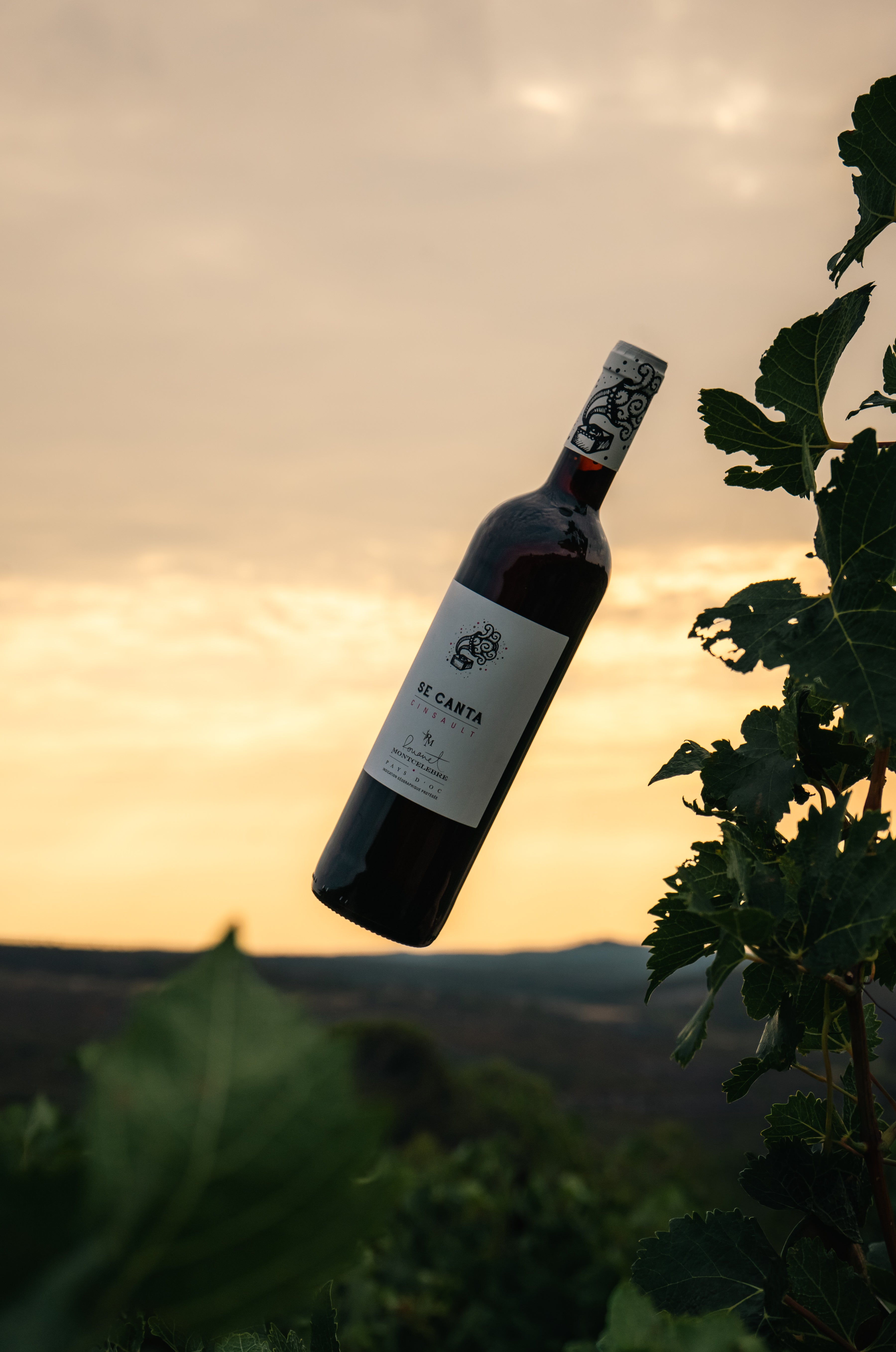 Se Canta - Cinsault 2023 - Rouge 75cl
