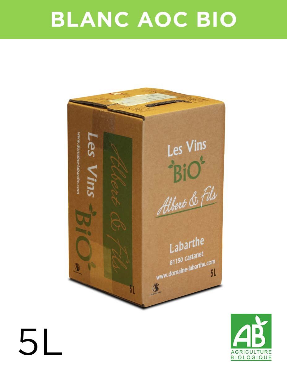 Vin blanc sec 12° 5L Gaillac AOC Bio