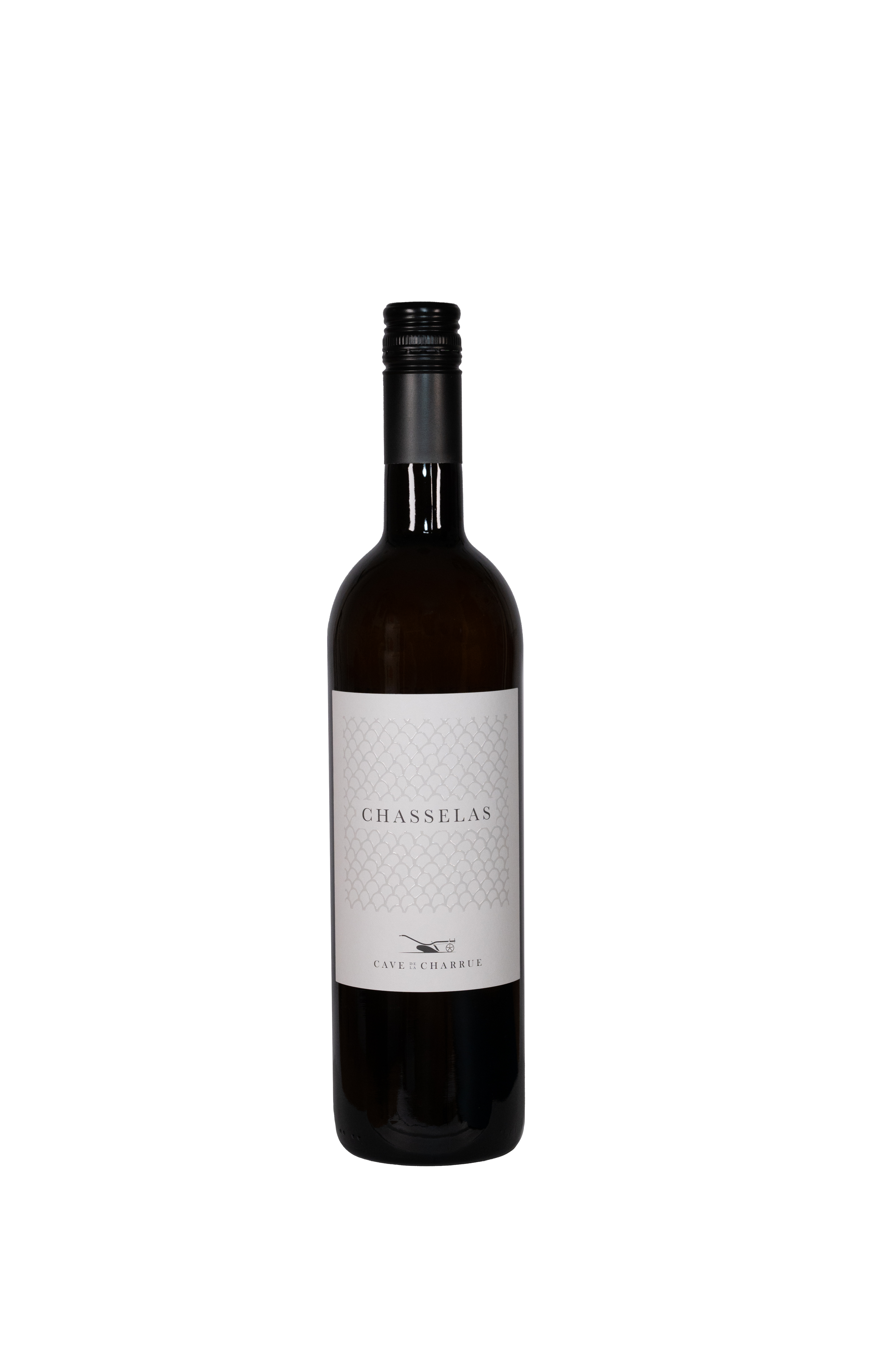 Chasselas