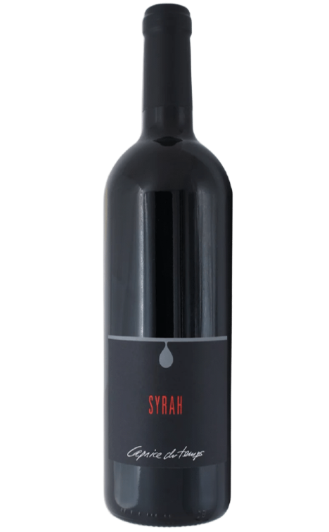 SYRAH (Vieilli en fût de chêne) AOC VALAIS