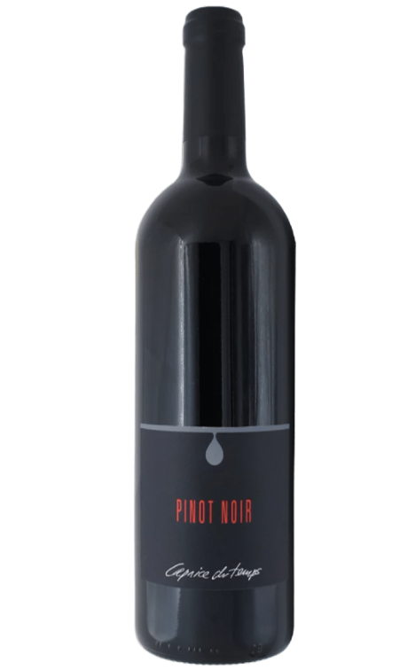 PINOT NOIR (Vieilli en fût de chêne) AOC VALAIS