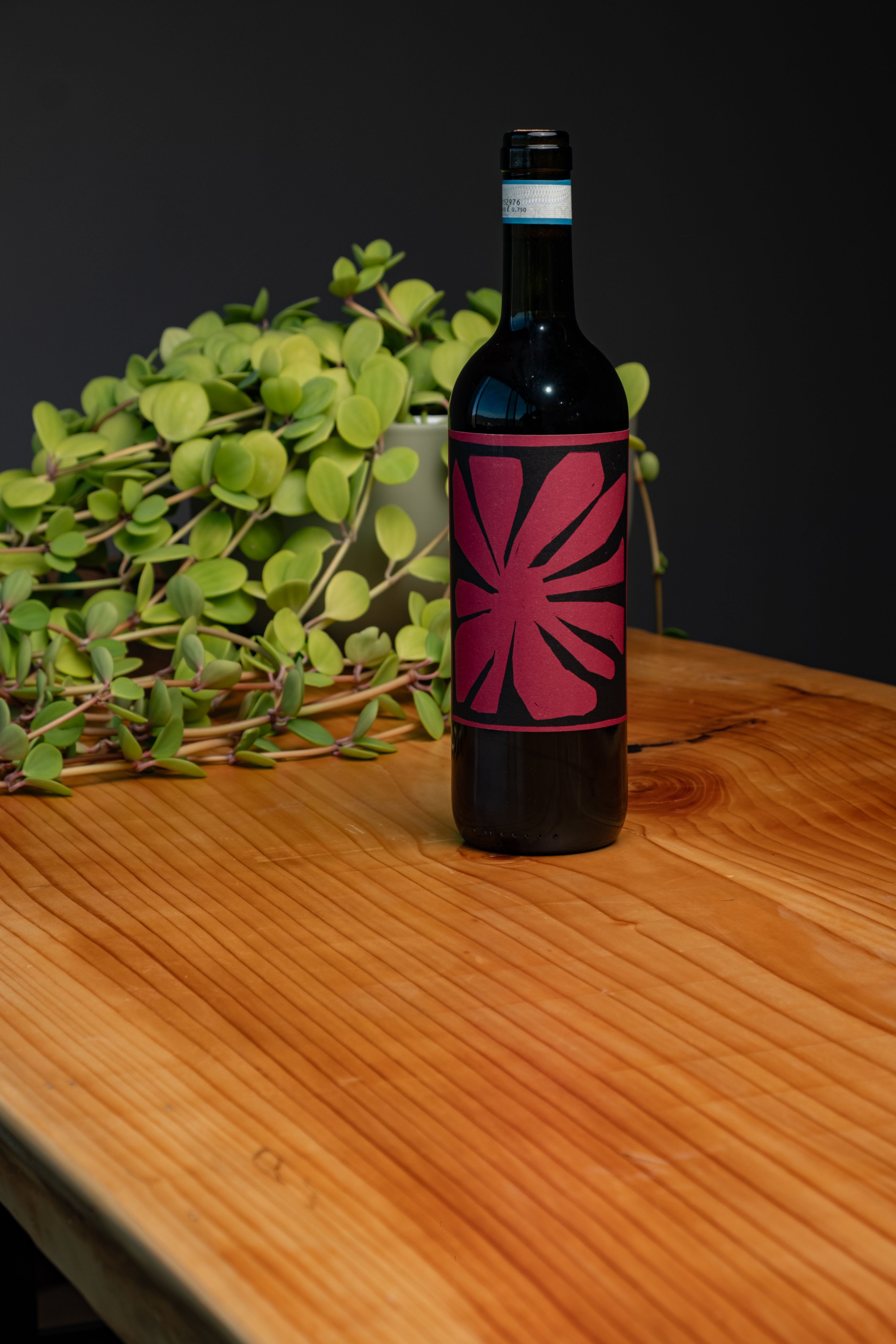 Langhe Nebbiolo 2024 Biologico