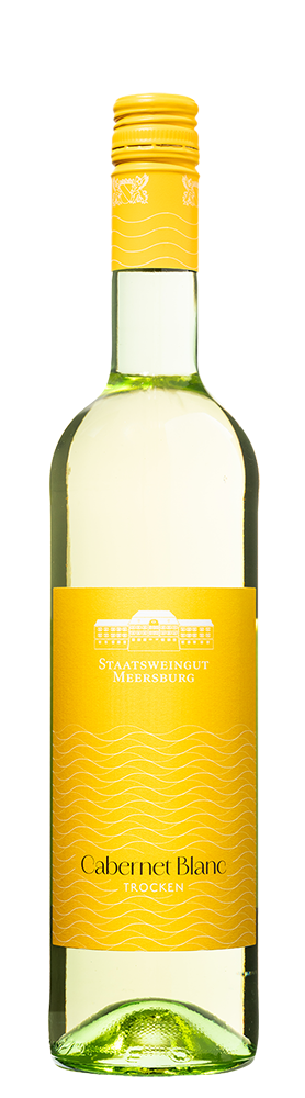 2025 Gutswein Cabernet Blanc trocken