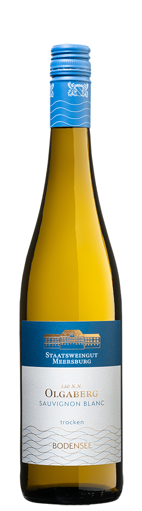 2025 Hohentwieler Olgaberg Sauvignon Blanc trocken