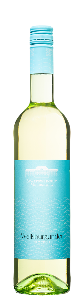 2025 Weißburgunder Gutswein
