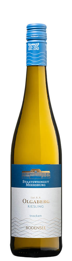2025 Hohentwieler Olgaberg Riesling trocken