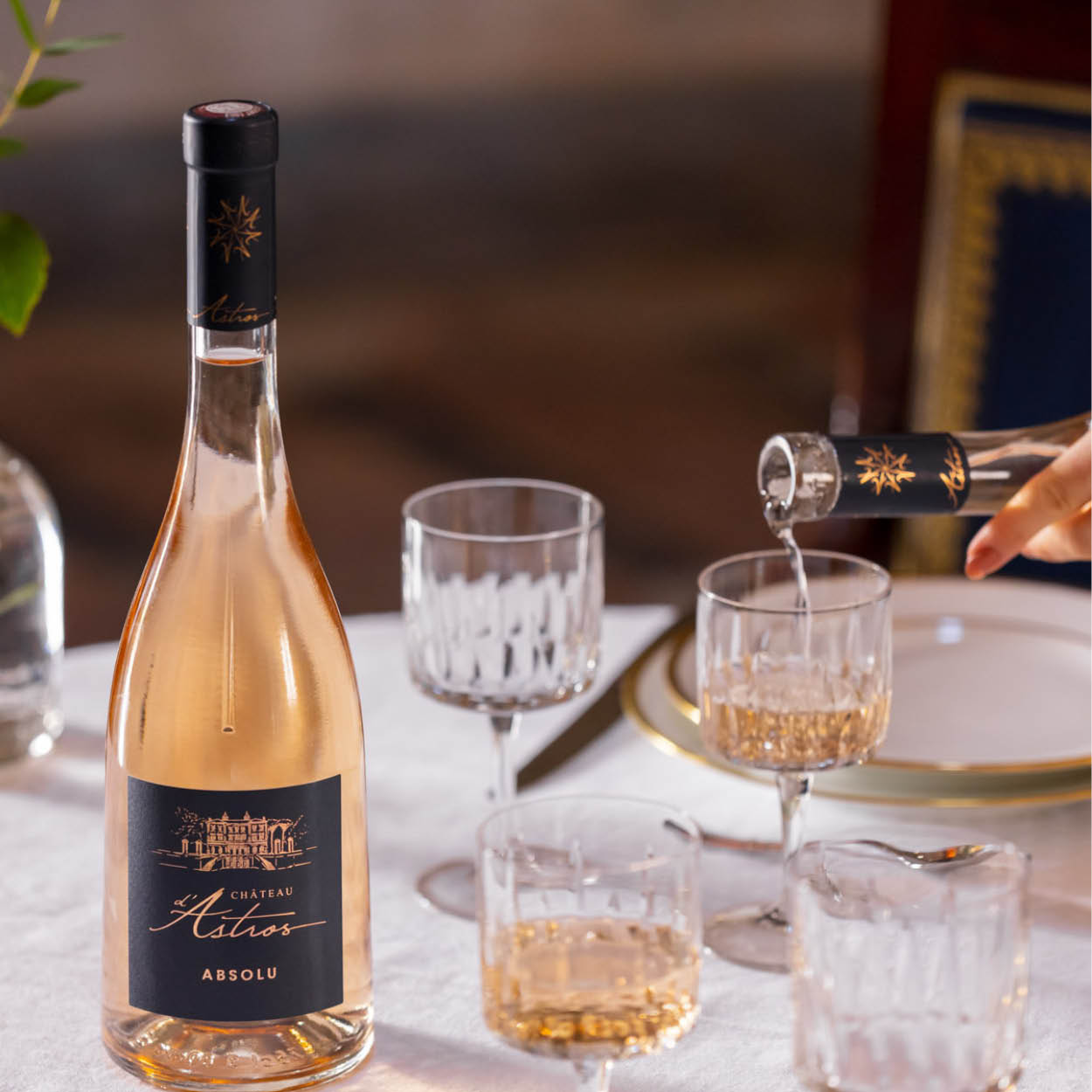 Absolu rosé BIO 2025