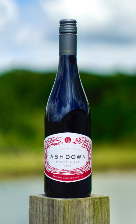 Ashdown Pinot Noir 2022