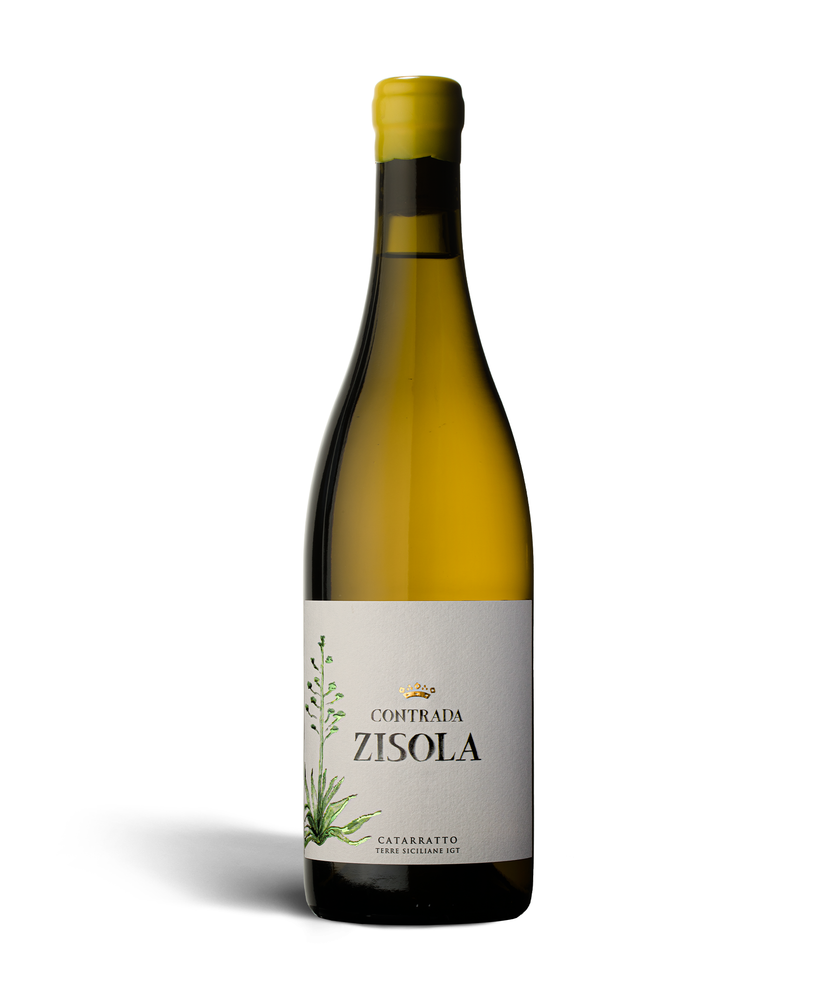 Contrada Zisola