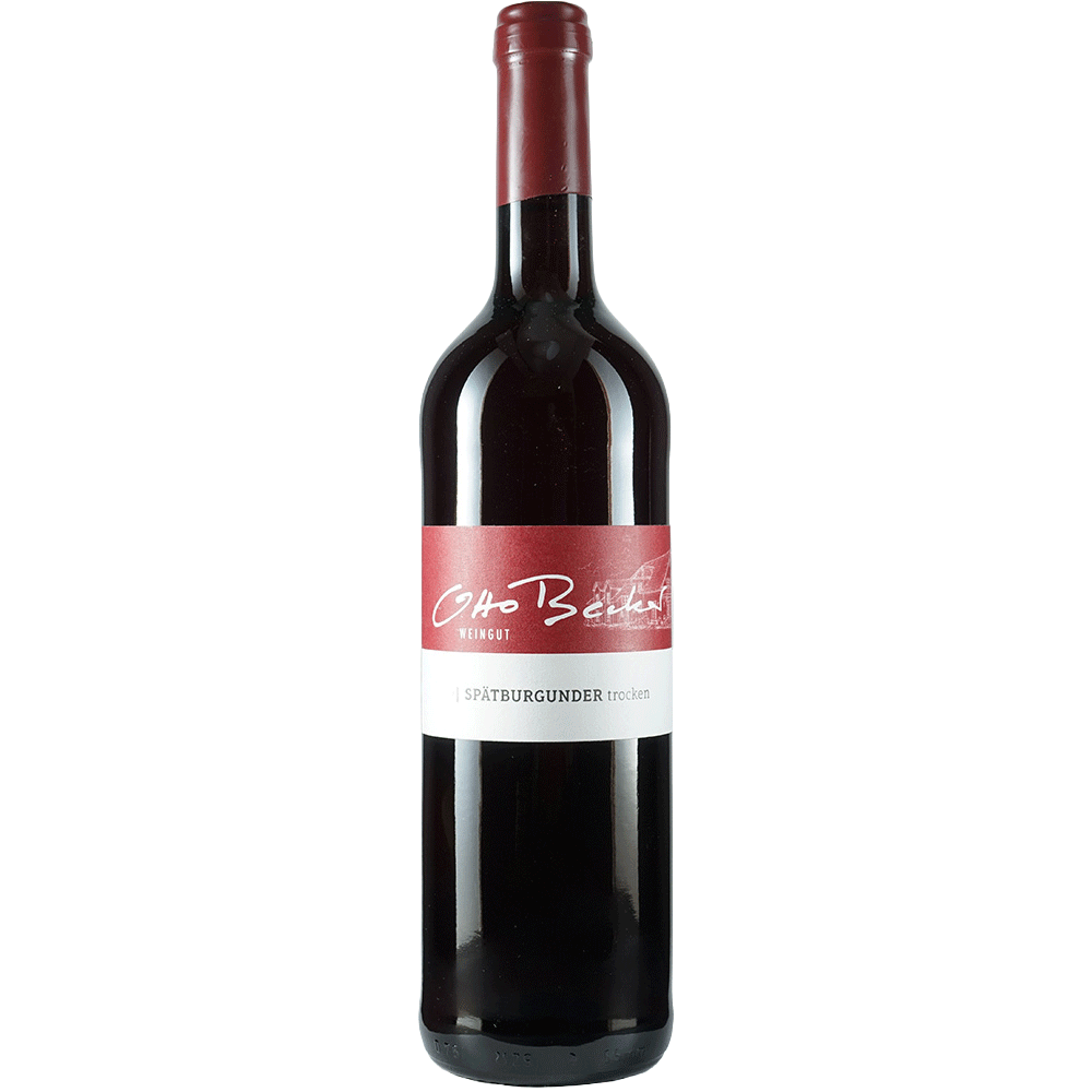 2024 Spätburgunder Rotwein trocken