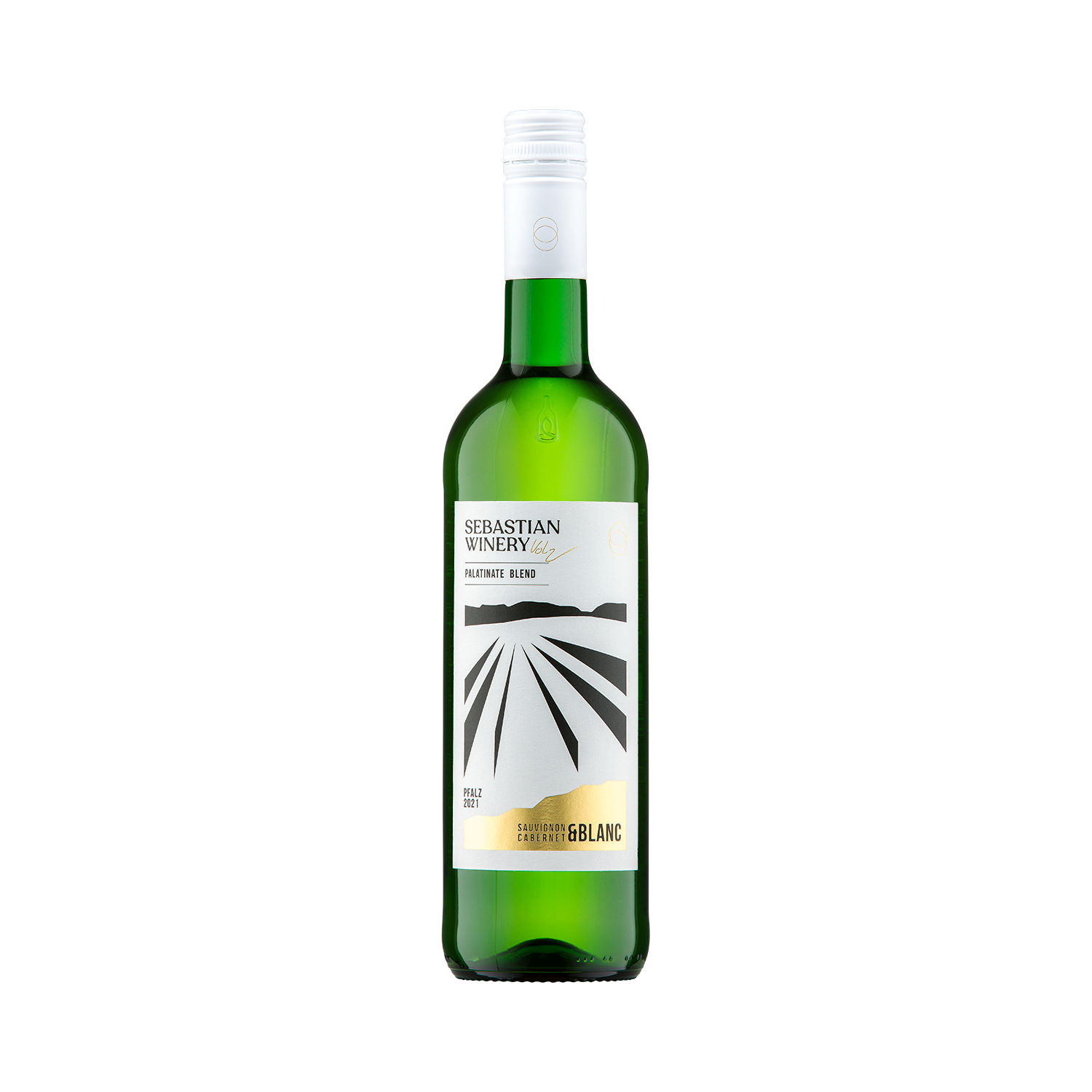 2024 Sauvignac & Cabernet Blanc - Palatinate Blend trocken - BIO