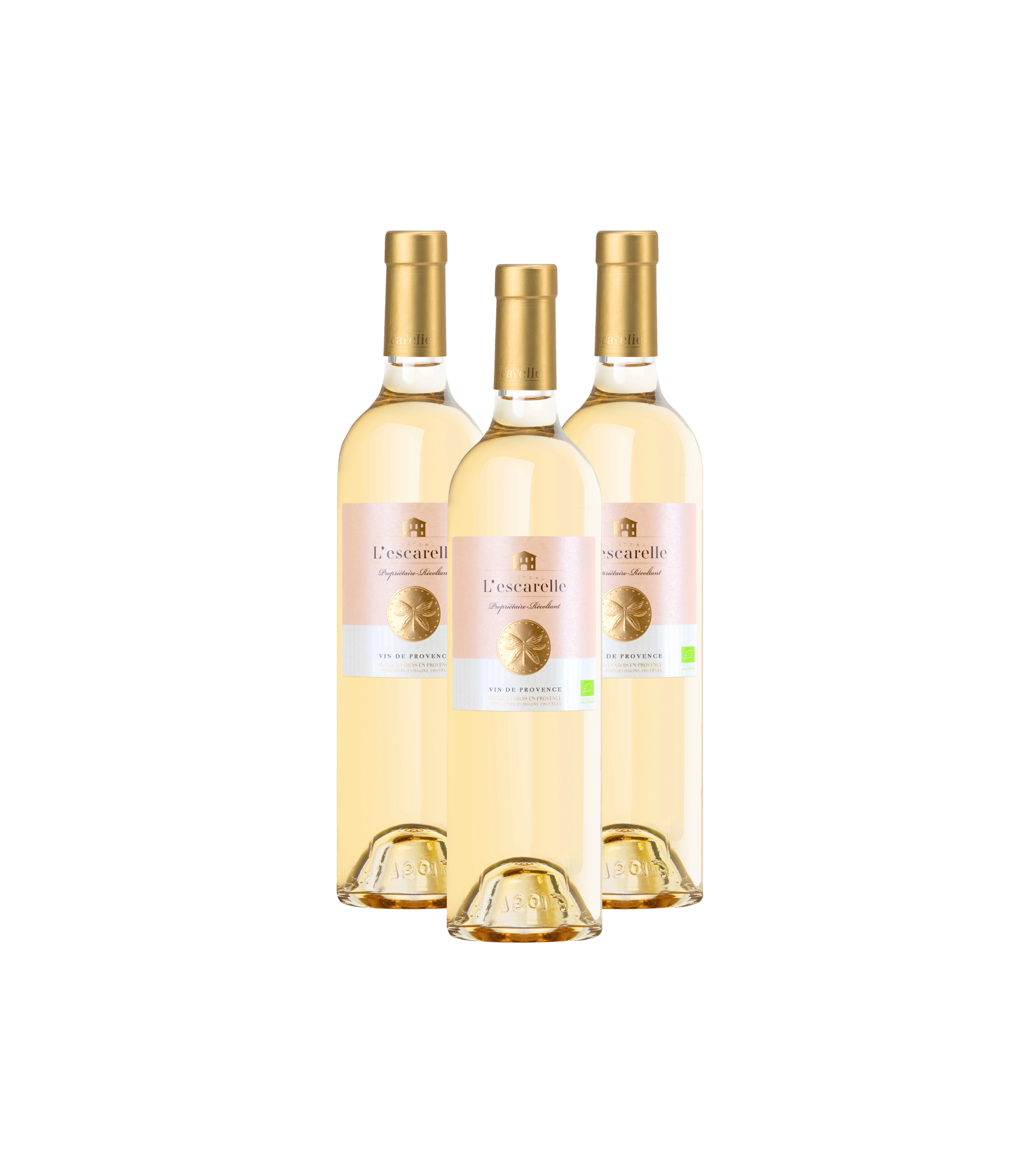 CHÂTEAU BLANC