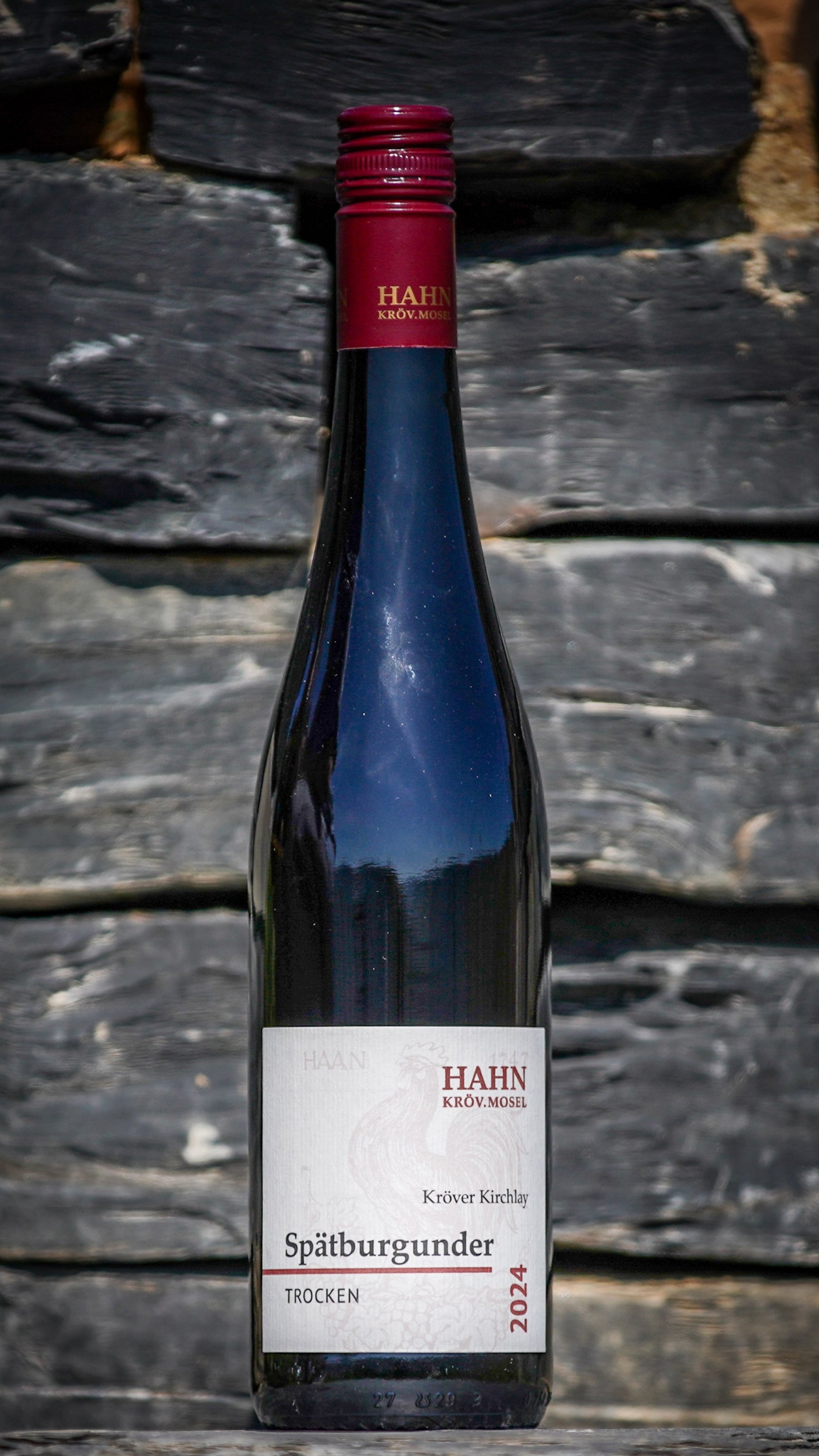 2024 Spätburgunder Rotwein trocken