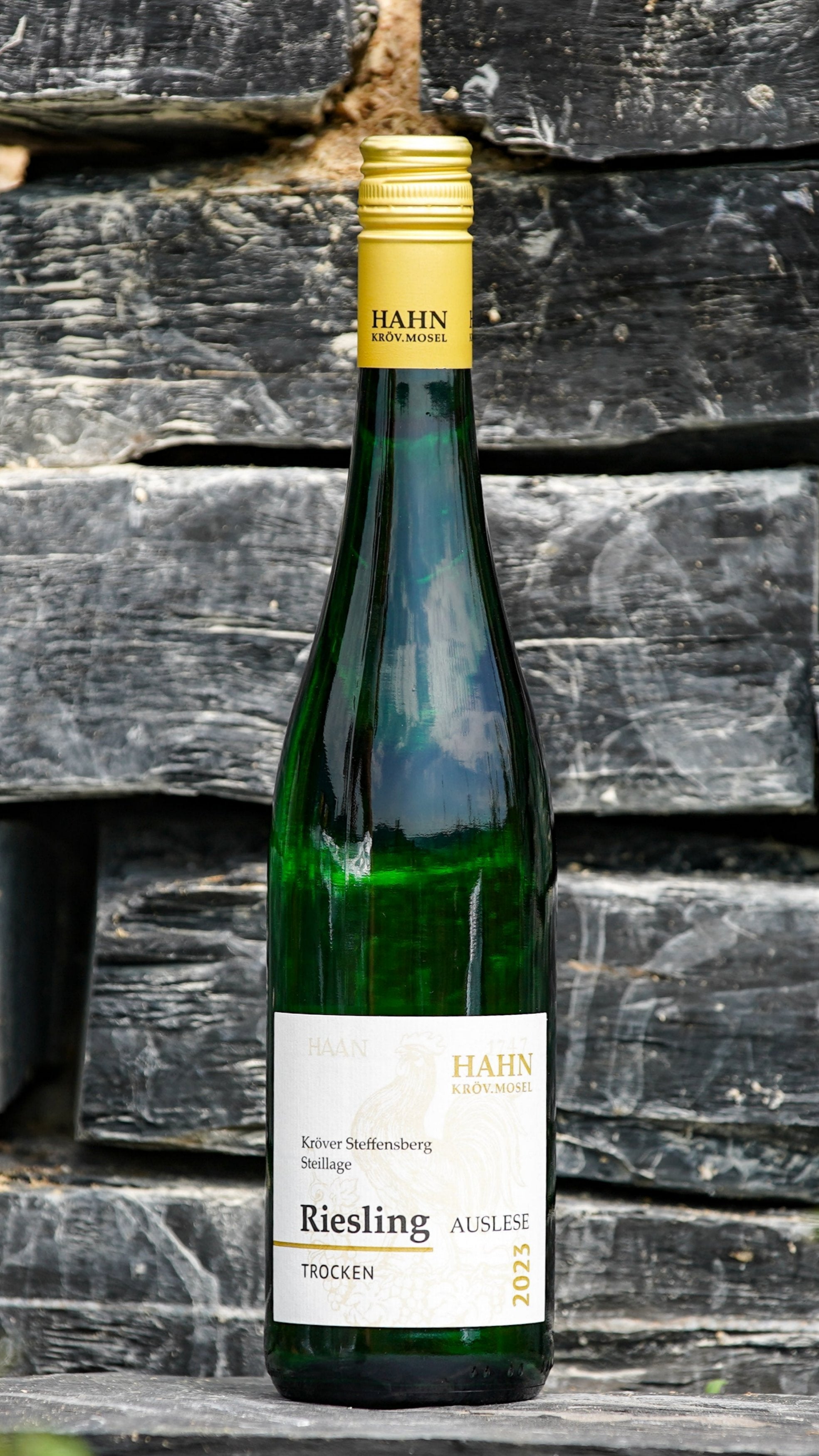 2023 Riesling Steillage Steffensberg trocken